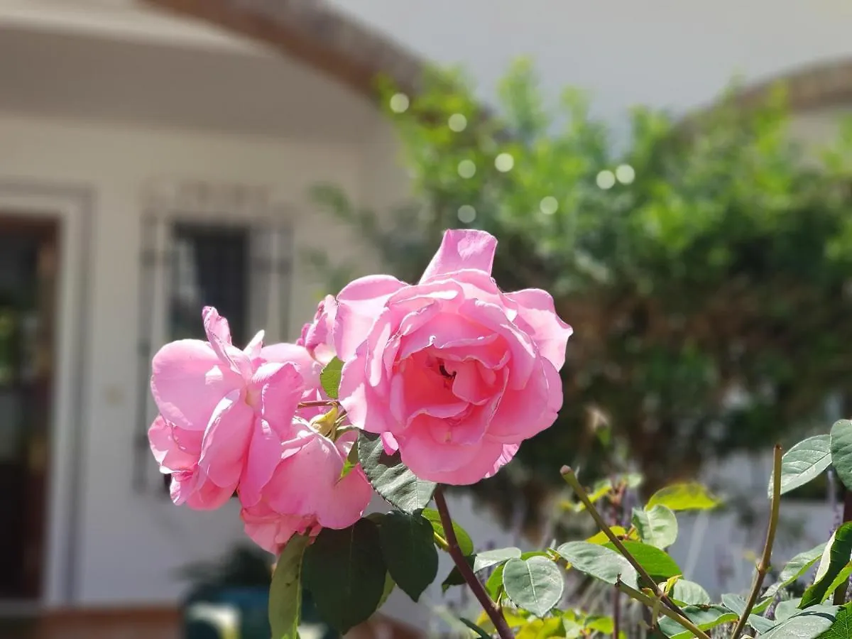 Villa Las Ninas Costa Del Sol 미하스